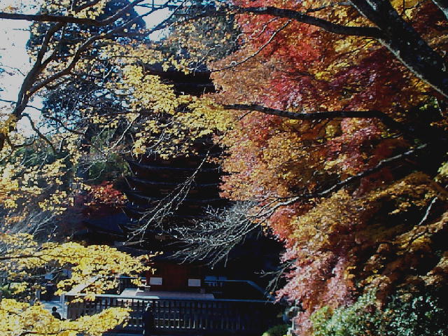 Tanzan Shrine